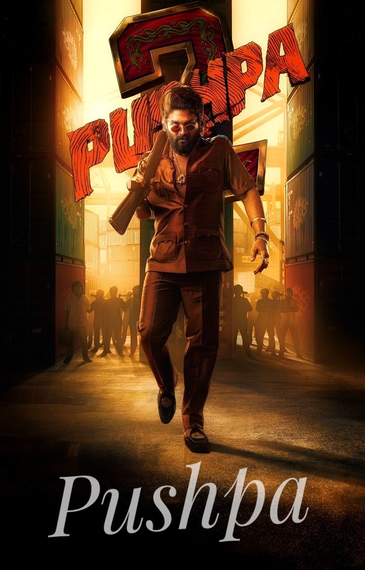 Pushpa - The Rise (2021) (Hindi + Telugu)